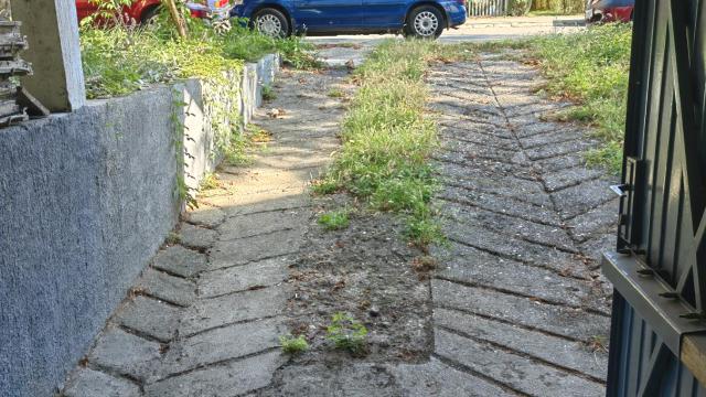 Poslovni prostor, Jednoiposoban, Prodaja, 31m2, Zemun polje, Zemun, Pere Kosorica