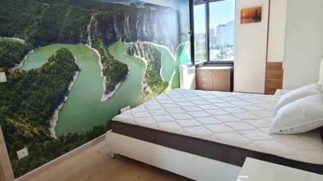Stan, Dvosoban, Izdavanje, 60m2, Blok 43 (Buvlja pijaca), Novi Beograd, Bulevar Milutina Milankovica