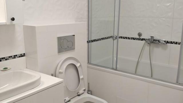 Stan, Dvosoban, Izdavanje, 60m2, Blok 43 (Buvlja pijaca), Novi Beograd, Bulevar Milutina Milankovica