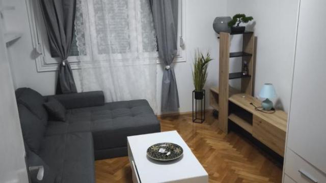 Stan, Dvosoban, Izdavanje, 60m2, Karaburma, Palilula, Patrisa Lumumbe