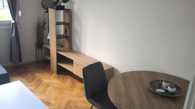 Stan, Dvosoban, Izdavanje, 60m2, Karaburma, Palilula, Patrisa Lumumbe