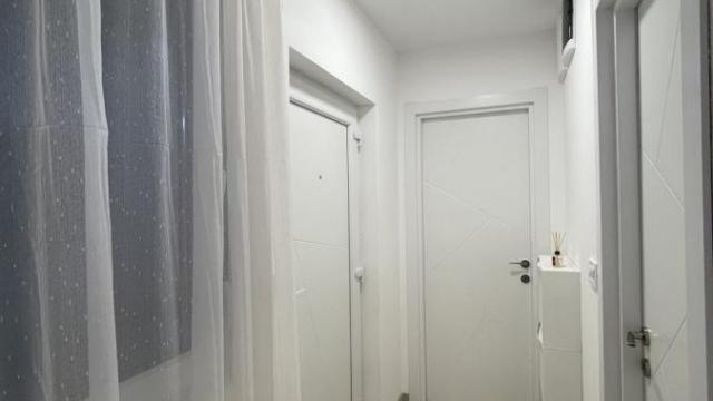 Stan, Dvosoban, Izdavanje, 40m2, Donji grad, Zemun, Bežanijska