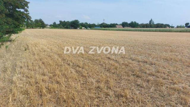 Kuća, Trosoban, Prodaja, 270m2, Centar, Gradska lokacija, Bečej