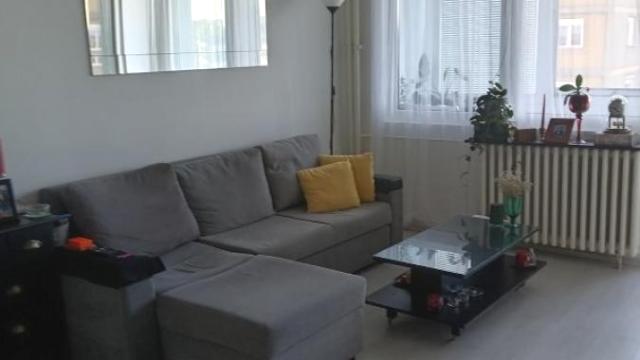 Stan, Jednoiposoban, Izdavanje, 41m2, Stari Merkator, Novi Beograd, Bulevar Mihajla Pupina