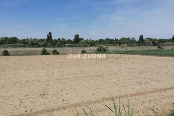 prodaja, plac,
novi-becej, 957146, plac