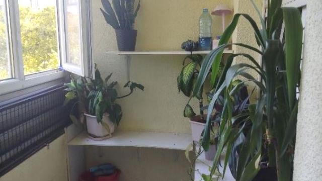 Stan, Jednosoban, Izdavanje, 36m2, Blok 62, Novi Beograd, Dušana Vukasovića