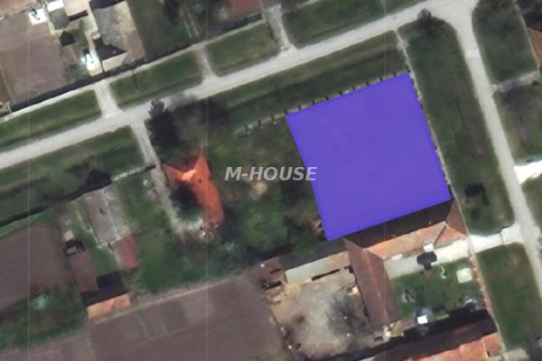 prodaja, plac,
conoplja-opstina-sombor, 957723, plac