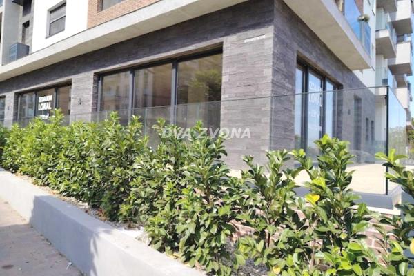 izdavanje, poslovni-prostor,
stari-banovci-opstina-stara-pazova, 958323, jednosoban