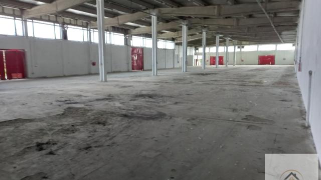 Poslovni prostor, Izdavanje, 12000m2, Klisa, Novi Sad, Novi Sad