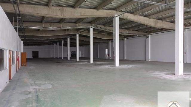 Poslovni prostor, Izdavanje, 12000m2, Klisa, Novi Sad, Novi Sad