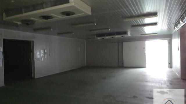 Poslovni prostor, Izdavanje, 12000m2, Klisa, Novi Sad, Novi Sad