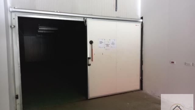 Poslovni prostor, Izdavanje, 12000m2, Klisa, Novi Sad, Novi Sad