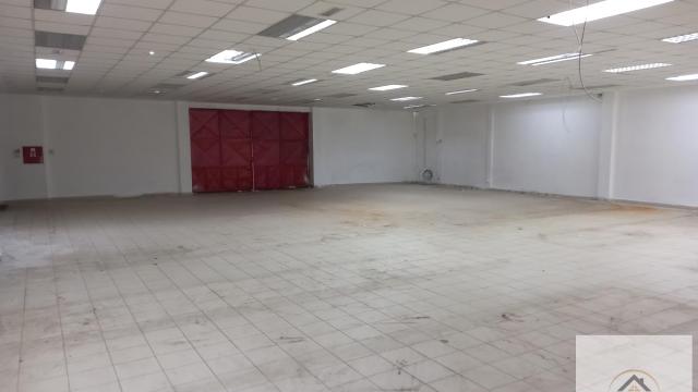 Poslovni prostor, Izdavanje, 12000m2, Klisa, Novi Sad, Novi Sad