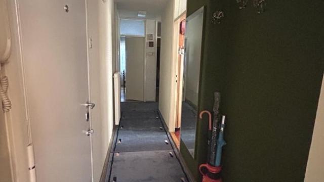 Stan, Dvoiposoban, Izdavanje, 60m2, Košutnjak, Čukarica, Blagoja Parovića