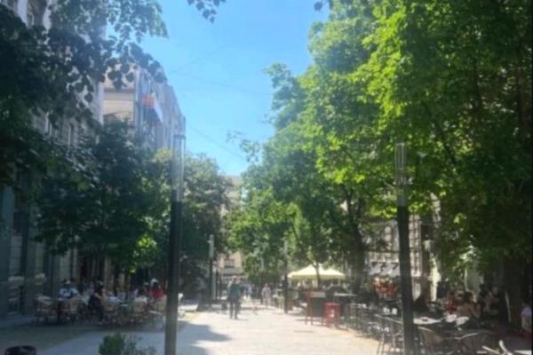 izdavanje, stanova,
toplicin-venac-stari-grad-beograd, 960102, trosoban-toplicin-venac