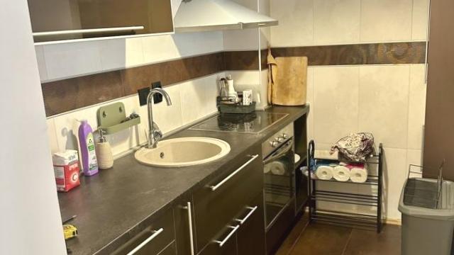 Stan, Trosoban, Izdavanje, 65m2, Južni bulevar, Vračar, Mihaila Gavrilovića