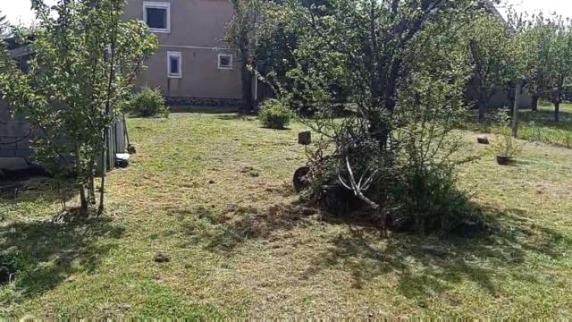 Kuća, Trosoban, Prodaja, 60m2, Čortanovci, Okolno mesto, Srednji Breg