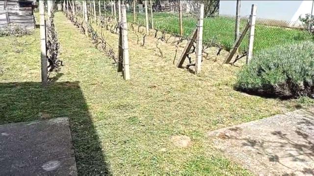Kuća, Trosoban, Prodaja, 60m2, Čortanovci, Okolno mesto, Srednji Breg