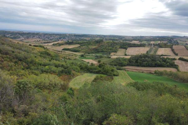 prodaja, plac,
alibegovac-petrovaradin-novi-sad, 961035, alibegovac