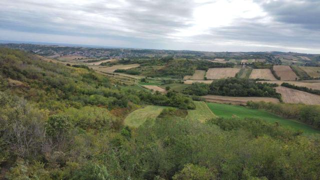 Plac, Prodaja, m2, Alibegovac, Petrovaradin, Alibegovac