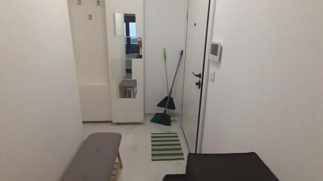 Stan, Dvoiposoban, Izdavanje, 55m2, Višnjica, Palilula, Maršala Tita