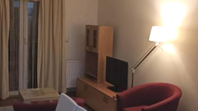Stan, Jednoiposoban, Izdavanje, 40m2, Cvetanova ćuprija, Zvezdara, Cvetanova ćuprija