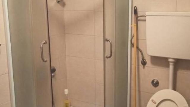 Stan, Jednoiposoban, Izdavanje, 40m2, Cvetanova ćuprija, Zvezdara, Cvetanova ćuprija