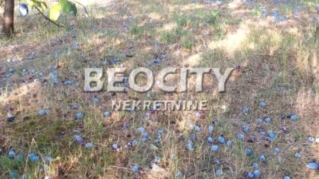 Plac, Prodaja, 54m2, Sremčica, Čukarica, Bicin potok