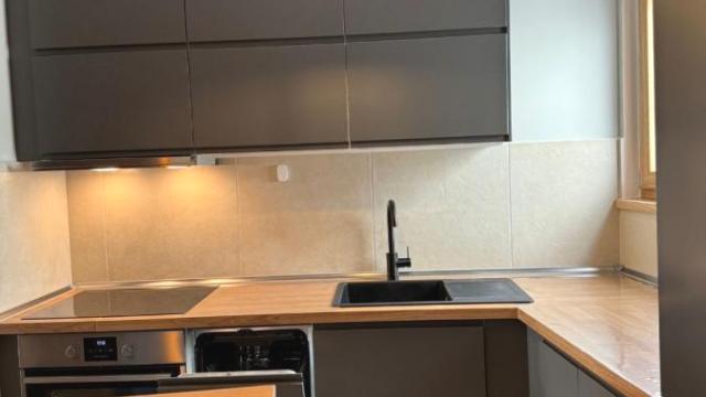 Stan, Jednoiposoban, Izdavanje, 60m2, Donji grad, Zemun, Tošin bunar