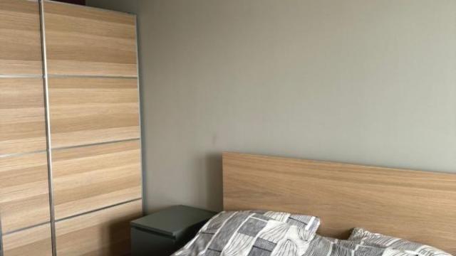 Stan, Jednoiposoban, Izdavanje, 60m2, Donji grad, Zemun, Tošin bunar