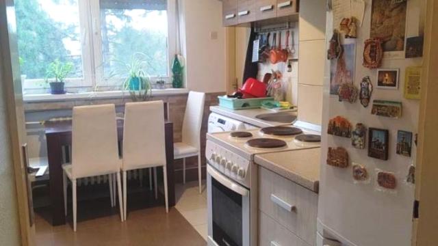 Stan, Dvosoban, Prodaja, 50m2, Zvezdarska šuma, Zvezdara, Mite Rakića