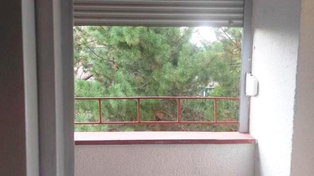 Stan, Dvosoban, Prodaja, 50m2, Zvezdarska šuma, Zvezdara, Mite Rakića