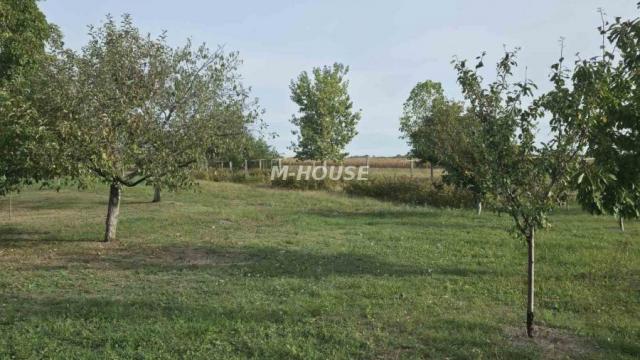 Kuća, Trosoban, Prodaja, 143m2, Stapar, Okolno mesto, Sombor