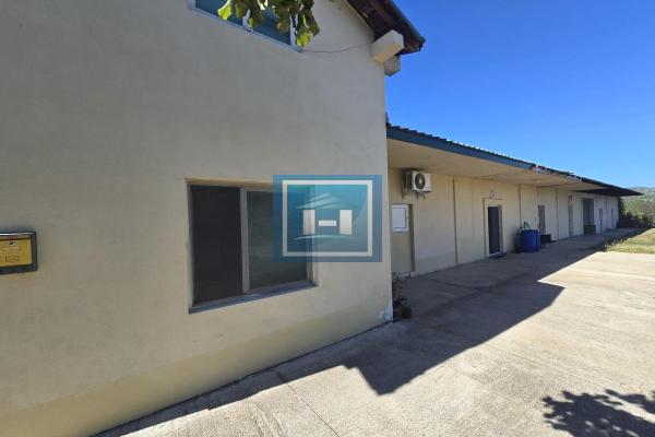 prodaja, poslovni-prostor,
vladicin-han, 963591, poslovni-prostor