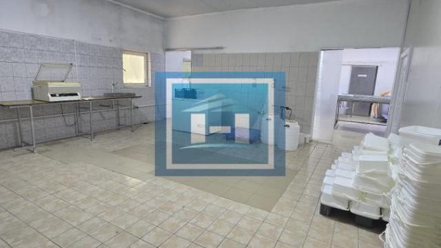 Poslovni prostor, Prodaja, 482m2, Vladičin Han