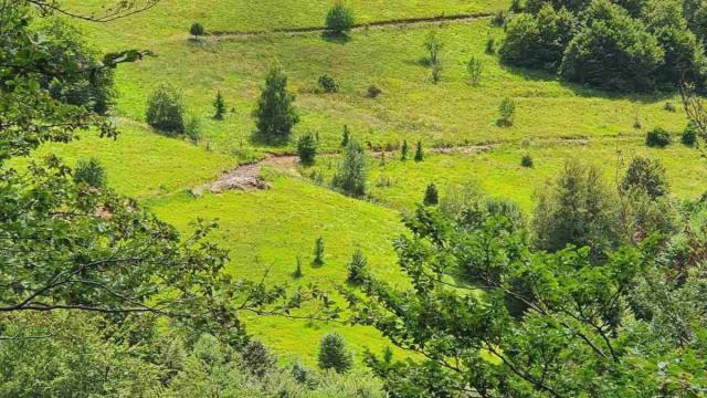 Plac, Prodaja, m2, Ćuštica, Okolno mesto, Custica
