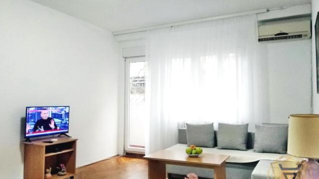 Stan, Jednoiposoban, Izdavanje, 40m2, Botanička bašta, Palilula, Vladetina