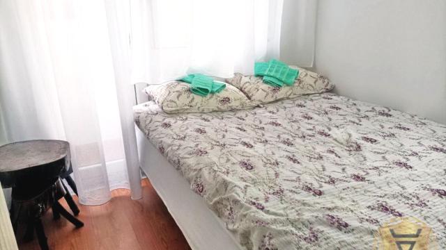 Stan, Jednoiposoban, Izdavanje, 40m2, Botanička bašta, Palilula, Vladetina