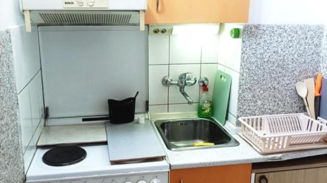 Stan, Jednoiposoban, Izdavanje, 40m2, Botanička bašta, Palilula, Vladetina