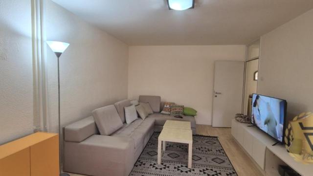 Stan, Dvosoban, Izdavanje, 55m2, Botanička bašta, Palilula, Bulevar Despota Stefana