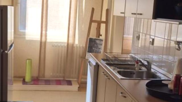 Stan, Dvosoban, Izdavanje, 55m2, Botanička bašta, Palilula, Bulevar Despota Stefana