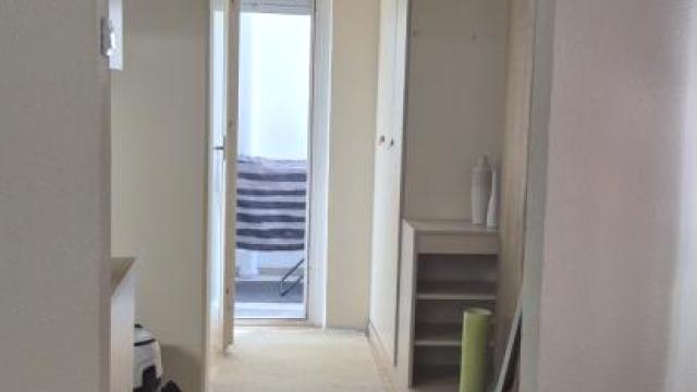 Stan, Dvosoban, Izdavanje, 55m2, Botanička bašta, Palilula, Bulevar Despota Stefana