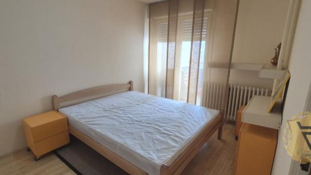 Stan, Dvosoban, Izdavanje, 55m2, Botanička bašta, Palilula, Bulevar Despota Stefana