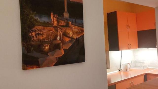 Stan, Dvosoban, Izdavanje, 45m2, Dorćol, Stari grad, Dositejeva
