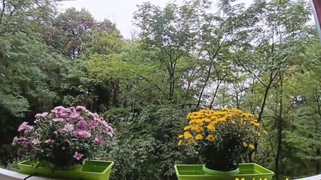 Stan, Jednoiposoban, Prodaja, 30m2, Vidikovac, Rakovica, Susedgradska