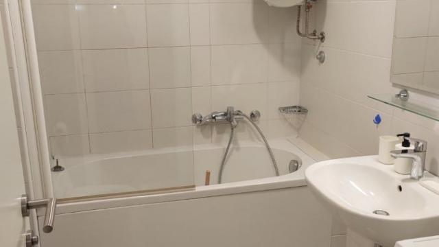 Stan, Dvosoban, Izdavanje, 44m2, Crveni krst, Vračar, Cara Nikolaja II