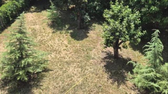 Kuća, Petosoban, Izdavanje, 220m2, Plavi horizonti, Zemun, Isidora Stojanovića