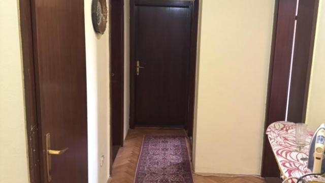Kuća, Petosoban, Izdavanje, 340m2, Kolonija Zmaj, Zemun, Vere Dedović