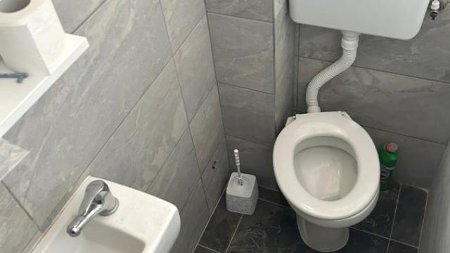 Kuća, Petosoban, Izdavanje, 250m2, Surčin (mesto), Surčin, Milovana Vidaka