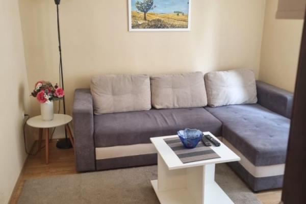 izdavanje, stanova,
brace-jerkovic-vozdovac-beograd, 968148, jednoiposoban-cedomilja-mitrovica